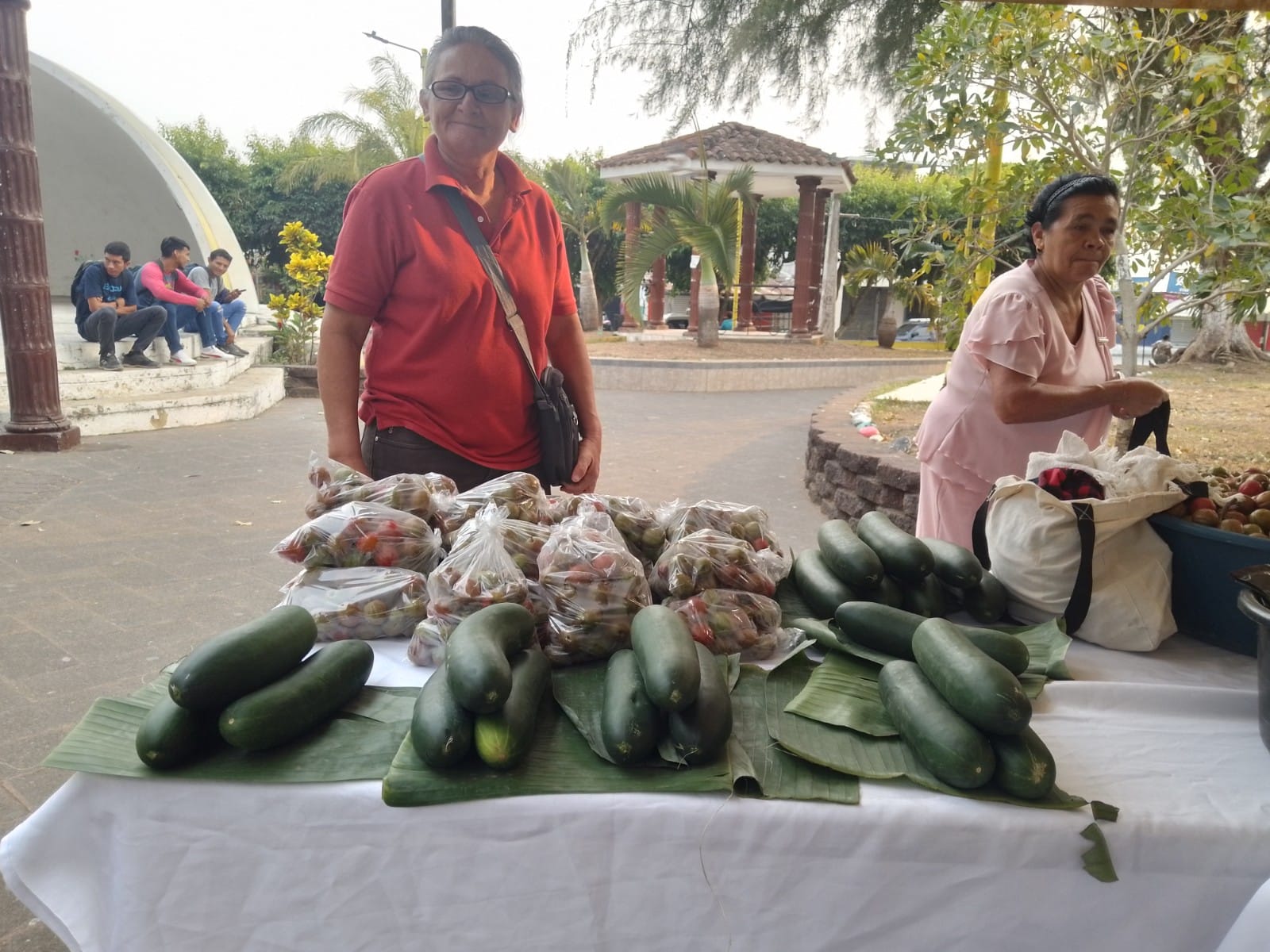 Mercadito Solidario Agroecológico 